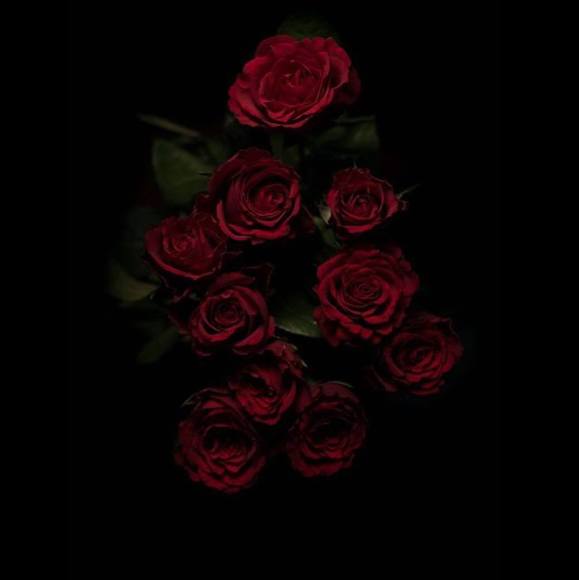 Meet your Posher, Jaime - Picture 1 of 1